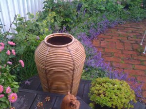 IMG_0834