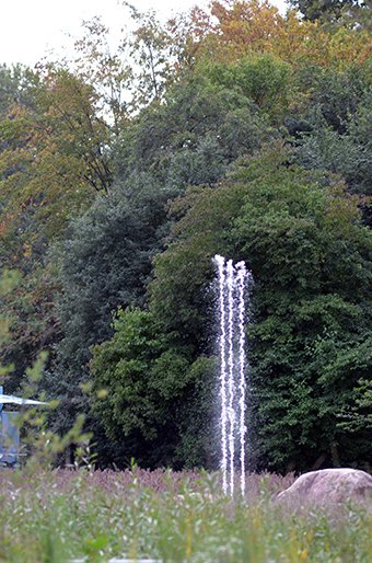 DSC_7737_kop