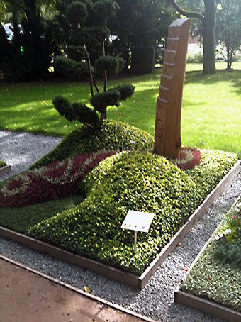 IMG_1924_kop