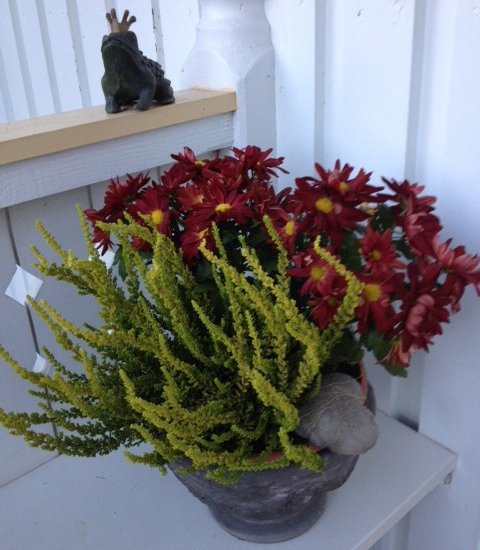 Bild3