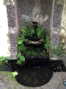 img_4666l