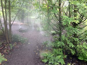 img_6749_kop