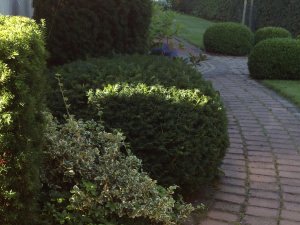 img_63271