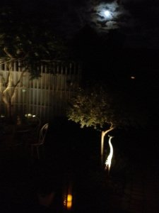 moonpower2