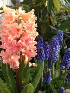 bild3-e1335467697352