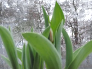 DSCN0104