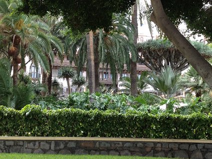laspalmas_8