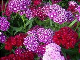 images-2