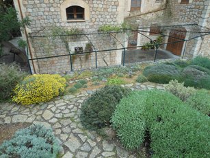 DSCN0578