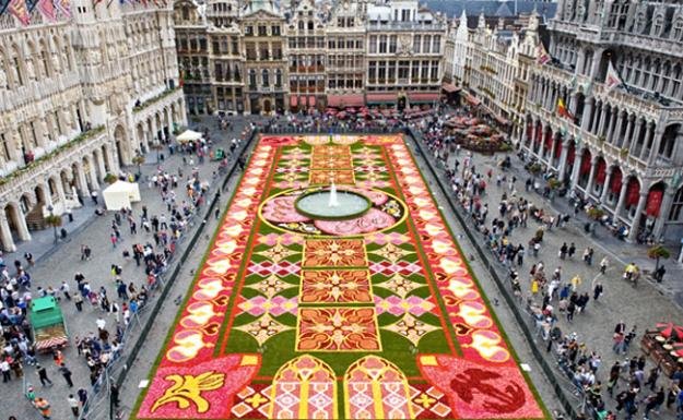 begonior Grand Place 2010- Bruxelles