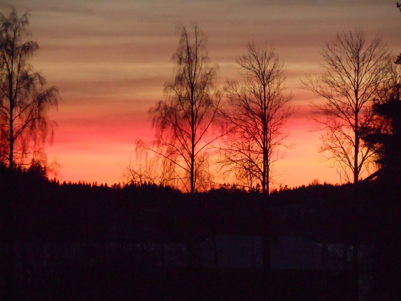 DSCN0228