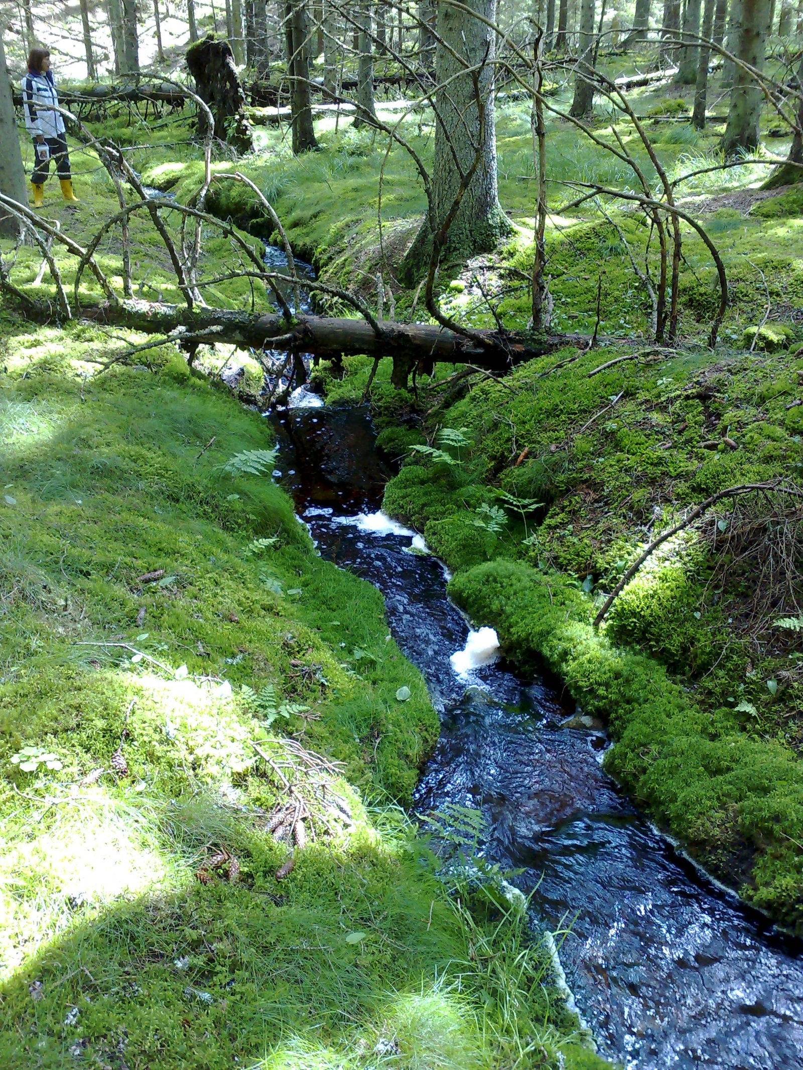 20070729164