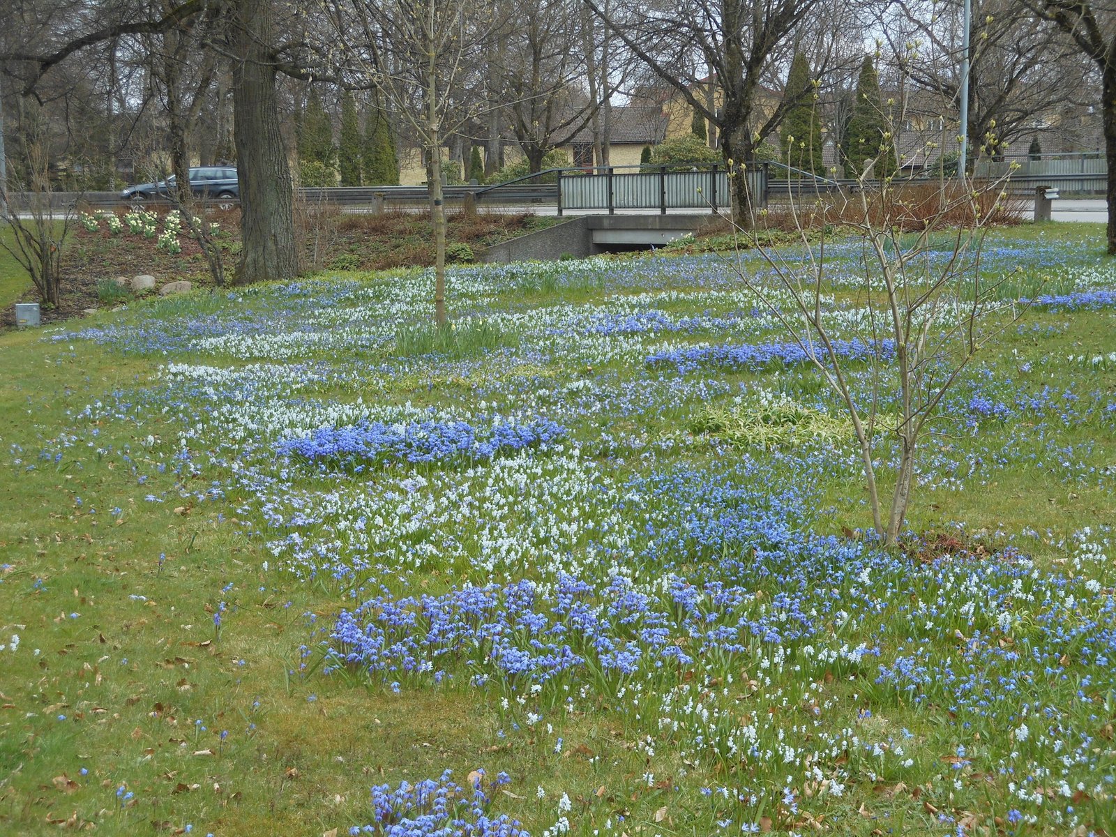 DSCN0762