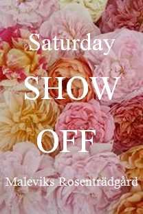 Saturday show off