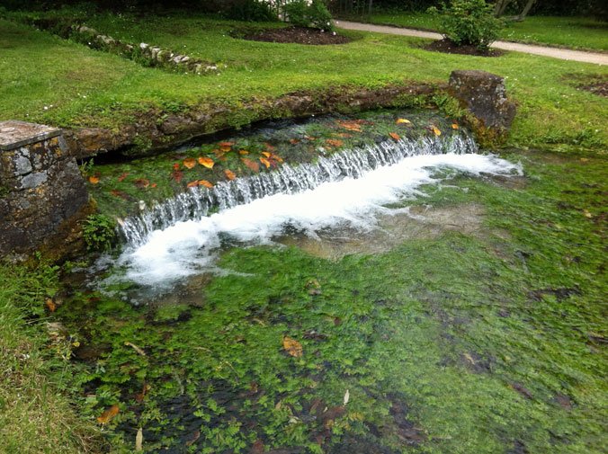 ninfa_2860