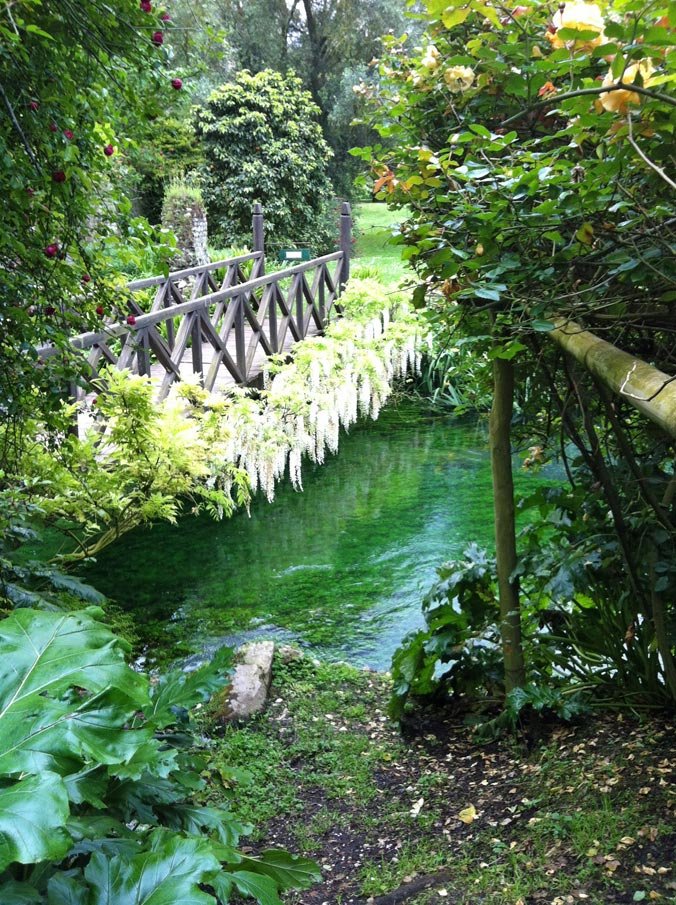 ninfa_2890