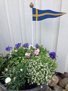 fontanfisk3