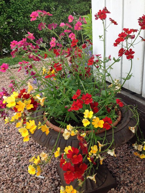 plantering2