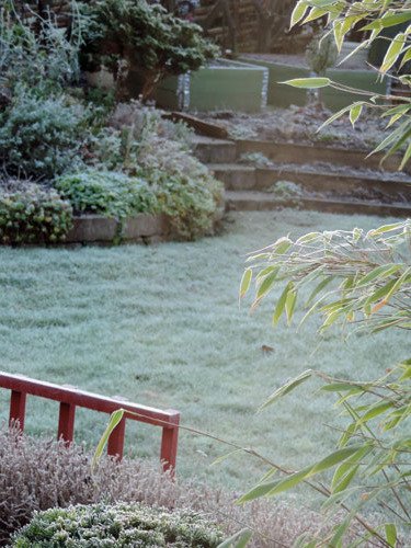 frost