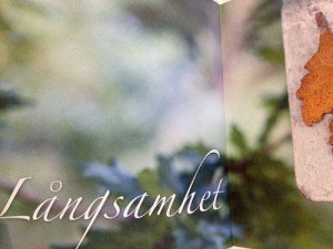 långsamhet