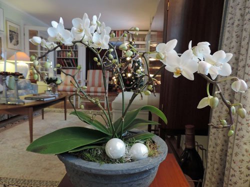 presentblomma2014