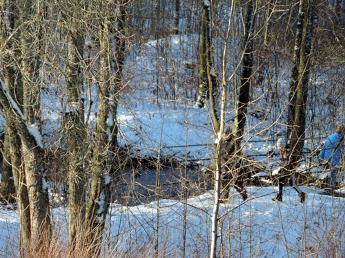promenaden