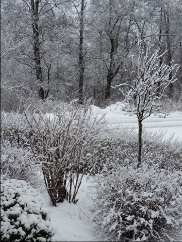 vinter3