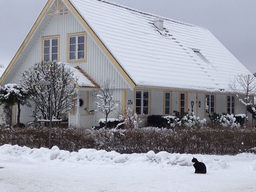 vinterhus