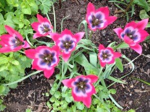 img_1522
