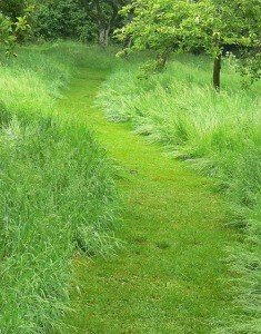 grasgang