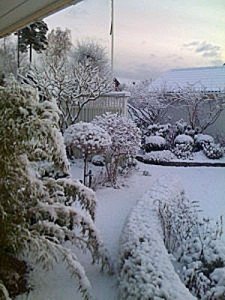 vinterbild