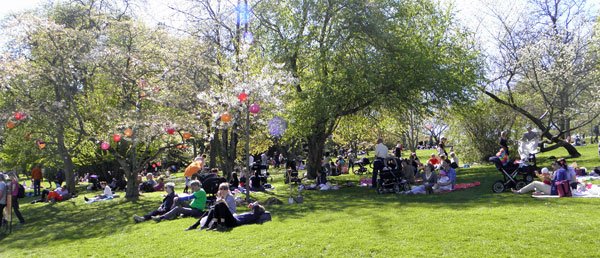 hanami2