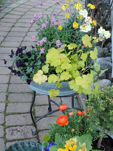 plantering