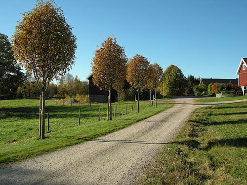 ifartkorr.