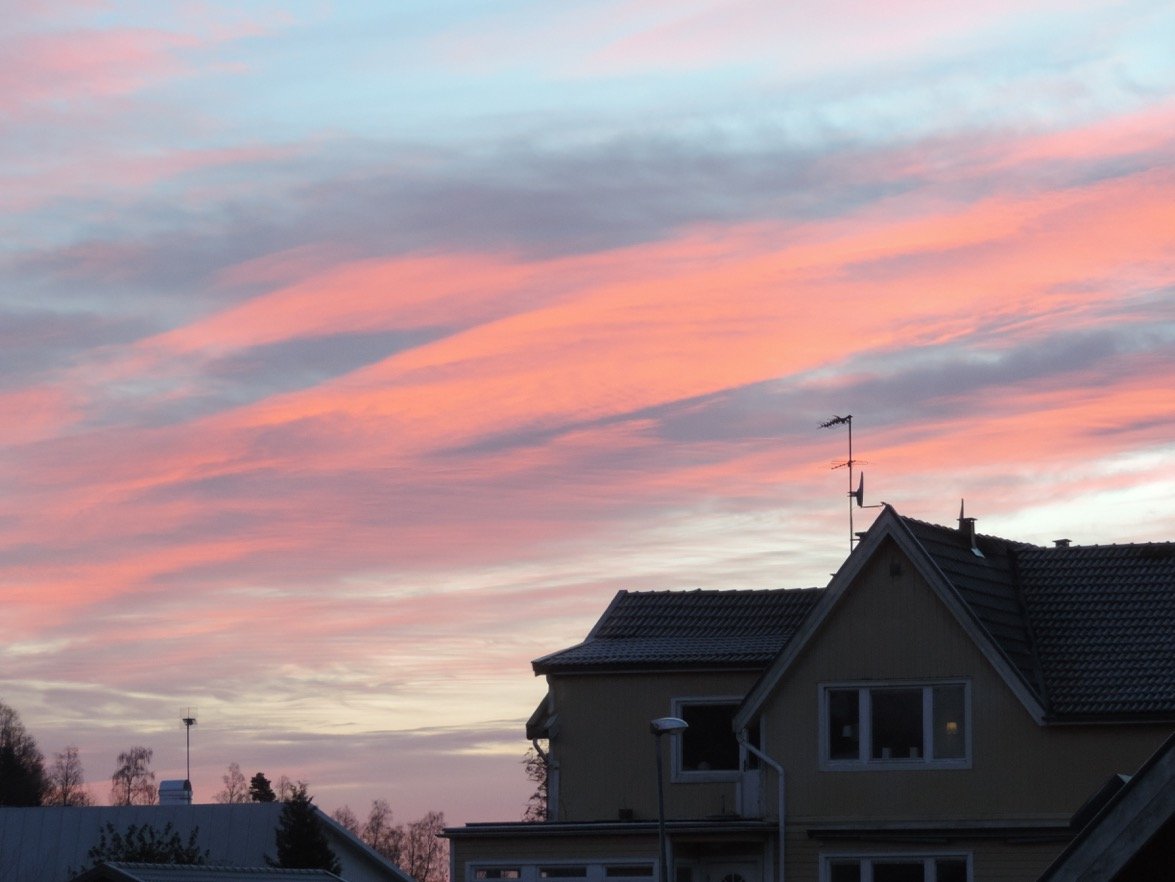 DSCN6309