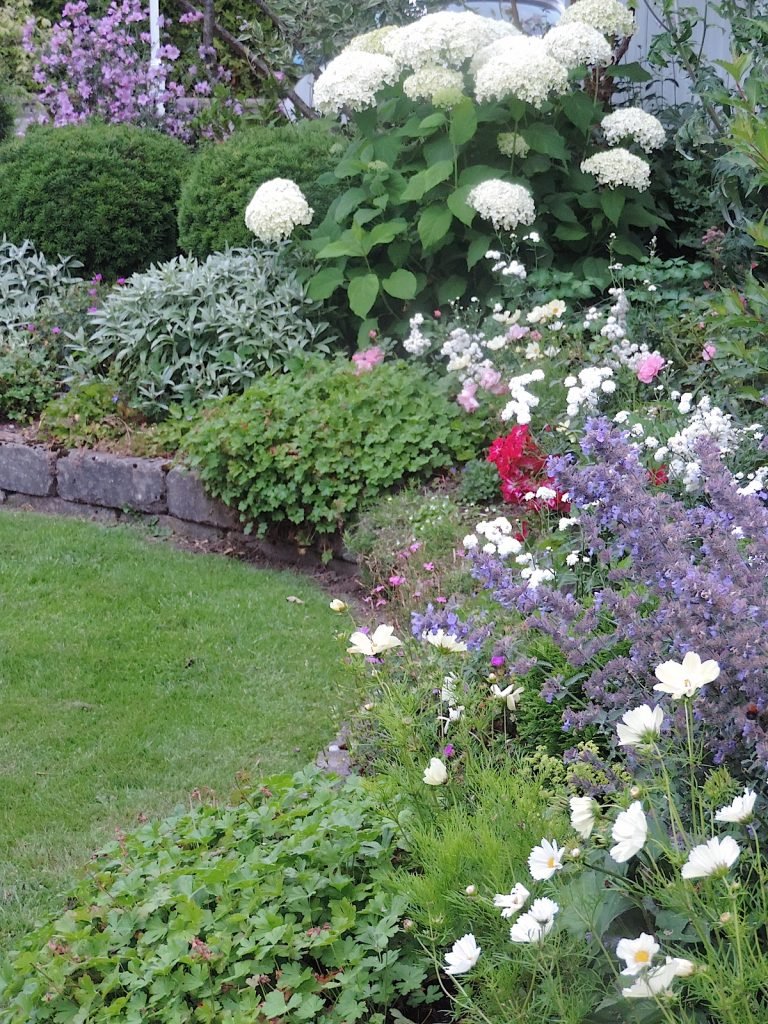 DSCN7792