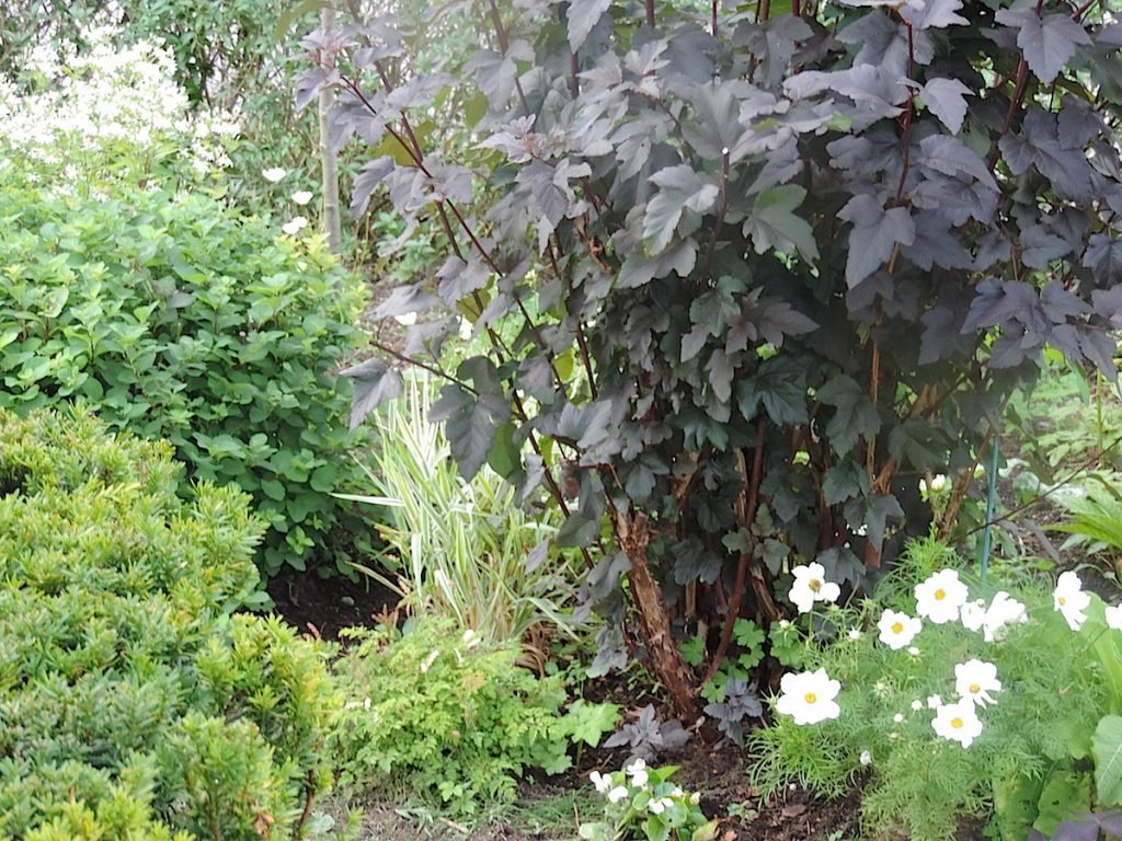 DSCN8074