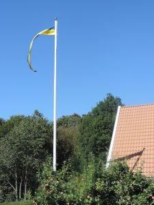DSCN8113