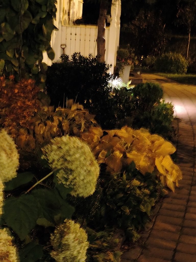 dscn8303