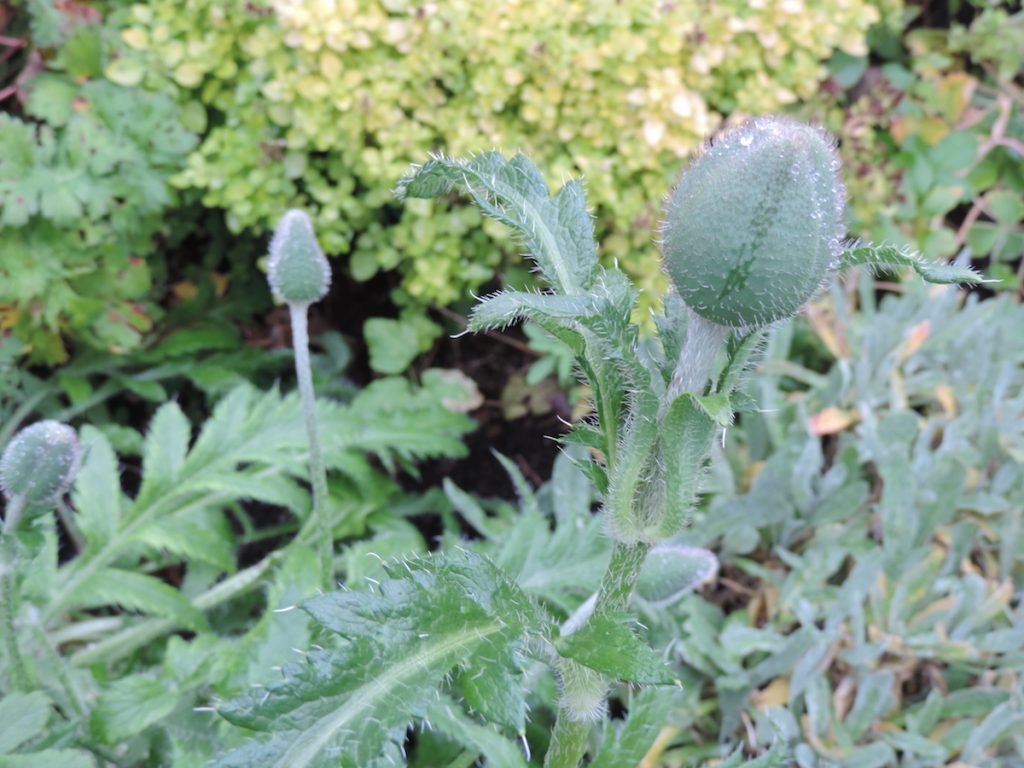dscn8353