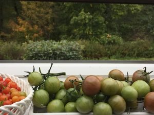 img_2819